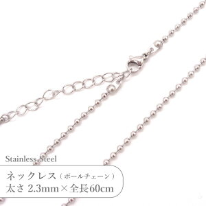 XeX lbNX {[`F[ JTSC-31 SS031-24 2.3mm S60cm 1{