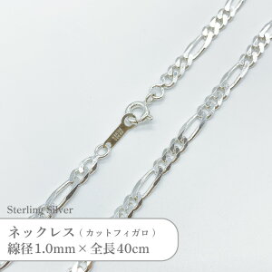 Vo[925 lbNX Jbg tBK `F[ SVFGT10 a1.0mm S40cm 1{