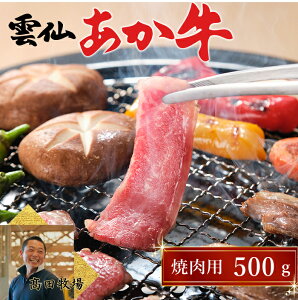 茧Y _傠 ē 500g cq _  Y BY a ԋ ᎉb ᓜ Xgi p Mtg j 蕨 Ε NX}X 