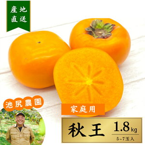 H ` Y 1.8kg rK_ ƒp Di SÊ` 5`7 Ȃ x TNTNH Ԍ Ε ʕ