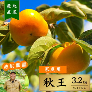 H ` Y 3.2kg rK_ ƒp Di SÊ` 9`11 Ȃ x TNTNH Ԍ Ε ʕ