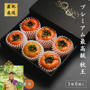 Y v~A H rK_  p J 1 6 I SÊ` Ȃ TNTNH x Ԍ IWiuh ʕ