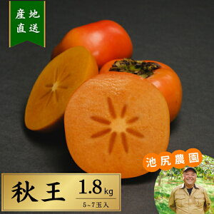 Y p Mtg H Gi rK_  SÊ` 1.8kg 5`7 Ȃ TNTNH x Ԍ IWiuh ʕ l ̂