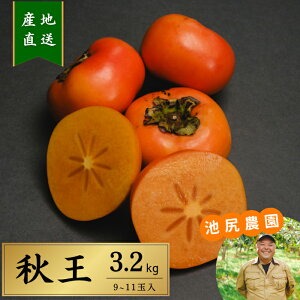 Y p Mtg H Gi rK_  SÊ` 3.2kg 9`11 Ȃ TNTNH x Ԍ IWiuh ʕ l ̂