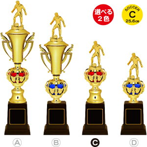 TbJ[ gtB[ 25.6cm cLOi TbJ[ gtB[ TbJ[ ƋLOi  1 TbJ[  c   LOi X|[c AEghA TbJ[ tbgT TbJ