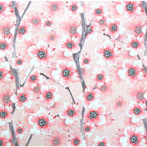 y50cmPʁztsukushiuV[`Ov ChouchoucollectionuSAKURAv Rbg100 n z } `F[ubT  fW^vg Ԍ/GKg