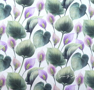 ݌ɏy50cmPʁzuV[`OvuԃJ[vRbg100 n z  obO   fW^vg Jo[O 