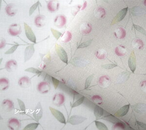 y50cmPʁztsukushiuV[`Ov u킢؂̎v Rbg100 n z  fW^vg   m TN{ /GKg