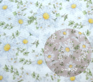 y50cmPʁzyV[`Oz Chouchoucollectionu}[KbgLiMv Rbg100 n z  }[Kbg fW^vg  ԕ [EFA/GKg