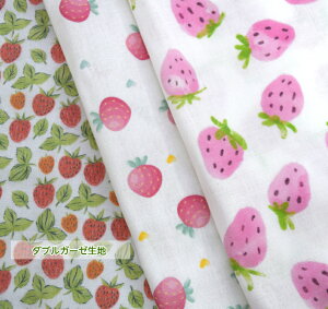 y50cmPʁzǎȃ_uK[[ōuStrawberry partyv Rbg100 Xgx[ p[eB[ n z  K[[n 䕁@C`S  fW^vg }XN xr[pi