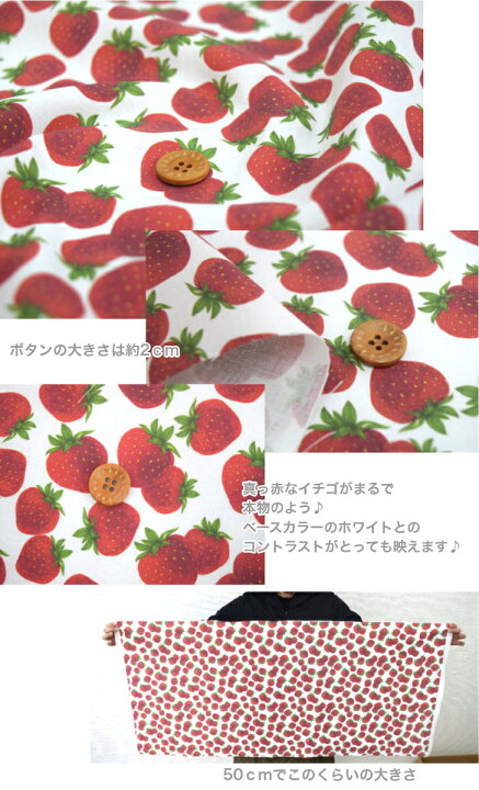 楽天市場】【50cm単位】こんなプリント生地は他にない♪「真っ赤な  