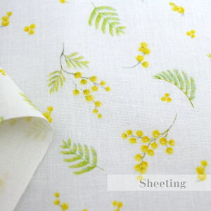 y50cmPʁzuV[`Ovuu₩ȃ~U̕v~U  O[ Rbg100 n    Jo[O Gv w fW^vg ԕ t