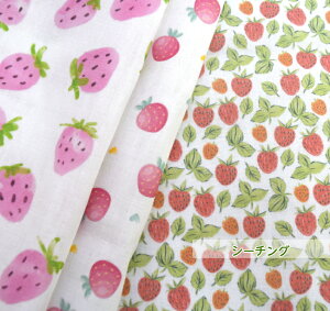 y50cmPʁzG̉V[`OuStrawberry partyv Rbg100 Xgx[ p[eB[ n z  V[`On  C`S  fW^vg }XN xr[pi w 