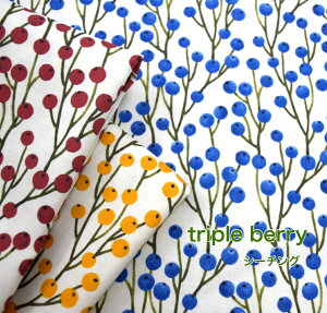 y50cmPʁz5uV[`Ov utriple berryv Rbg100 n z  fW^vg |[` В     ؂̎ x[/70