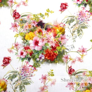 y50cmPʁzChouchoucollection ߑڂul̃u[PvuV[`Ov//O[/Rbg100/n////Jo[O/Gv/w/fW^vg/ԕ//n