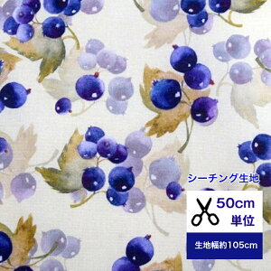 y50cmPʁzV[`Oouu[x[̐Sv Rbg100  z w   ԕ u[x[ Jo[O ԕ ʎ ʕ t[c