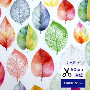 y50cmPʁzyV[`Ozu~N[t-Of[Vvt/O[/Rbg100 /n/ ///Jo[O/Gv/w/fW^vg/t/ nhCh  t