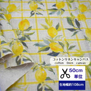 y50cmPʁzRbglLoX uz܂背l[hv Rbg80l20% n  t[c  fW^vg nhCh Jo Gv ʕ  lemon CG[ i