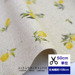 y50cmPʁzRbglLoX uʂ̎背l[hv Rbg80l20% n  t[c    w fW^vg nhCh Jo Gv ʕ 