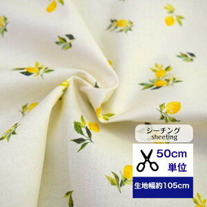 y50cmPʁzV[`O uʂ̎背l[hv Rbg100% n  t[c  fW^vg nhCh Jo m s[X Y{ pc Gv EG  