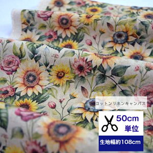 50cmP RbglLoX uAeB[Nu[Pv Rbg80l20% n ԕ AeB[N Ђ܂ o fCW[ }XN  nhCh fW^vg Jo b