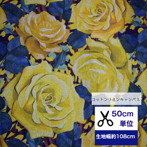 50cmP RbglLoX u炫ւYellow rosev Rbg80l20% n ԕ o [Y rose CG[ F  obO Jo J[e NbV `}bg Gv