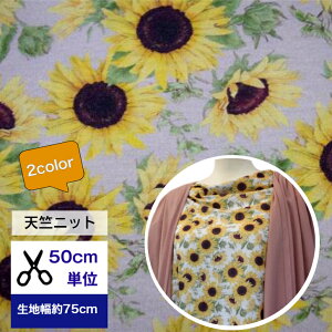 Vjbgy50cmPʁzChouchoucollectionuĜ悤ɔЂ܂v  z jbg   jbg fW^vg ԕ Ђ܂  q} n  xr[ Q TVc