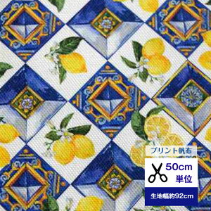 8vgzy50cmPʁzunC̃VgX^Cv Rbg100 n z  ^C  nhCh  z g[gobO z΂ TRbV g[g В@