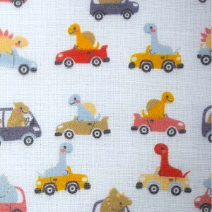 y50cmPʁz_uK[[ō/ũhCuv//_Ci\[/Rbg100 /n////w/ fW^vg/}XN jq