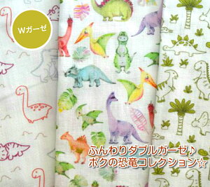 y50cmPʁzǎ̃R[~O_uK[[ō **ӂ_uK[[**{N̋RNV/_uK[[n/fW^vg/_Ci\[/pXe/Rbg100/n/z/