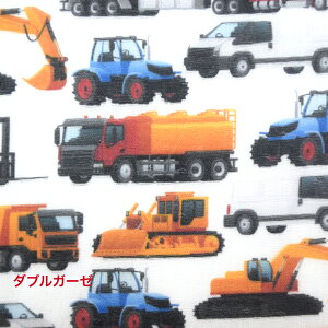 y50cmPʁztsukushiu_uK[[v ud~jJ[v Rbg100 n z  fW^vg ͂炭 ~jJ[ VxJ[ tH[Ntg