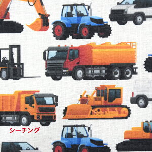 y50cmPʁztsukushiuV[`Ov ud~jJ[v Rbg100 n z  fW^vg ͂炭 ~jJ[ VxJ[ tH[Ntg w jq