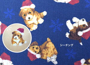 y50cmPʁztsukushiuV[`Ov uT^񂱁v Rbg100 n z  fW^vg [EFA  obO e  Ck  R T^N[X NX}X 