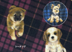 楽天市場 生地 テリア 犬の通販