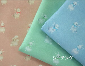 y50cmPʁztsukushiuV[`Ov uLittle rabbitv Rbg100 n z  fW^vg [EFA  obO  ETM rbg }XN