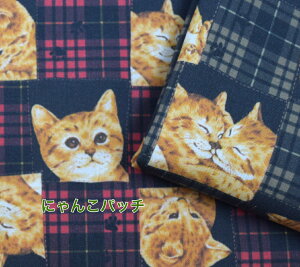 y50cmPʁztsukushiuV[`Ov uɂ񂱃pb`v Rbg100 n z  fW^vg lR ˂ L [EFA  obO }XN w  `FbN pb`[N 