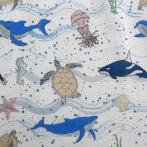 y50cmPʁzǎȃ_uK[[ōxr[ɂ߁uIRƉjC̒Ԃv/_uK[[/xrpi/ Rbg100/n/z//}XN/pW}/X^C/fW^vg/ J