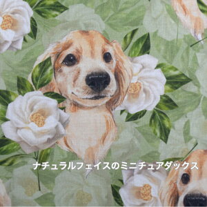y50cmPʁzV[`OoyV[`OzyfW^vgzũ~j`A_bNXv/Rbg100//z/w///ԕ/Jo[O//Ck// Gribaness