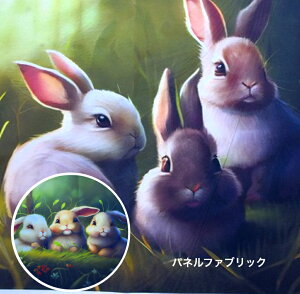 y2023 xz ʐ^̂悤ȃplnIubaby rabbitsv xCr[rbg Rbg100 n    Jo[O w fW^vg  R  /230