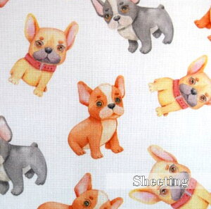 y50cmPʁzut`uxCr[v/V[`O/Rbg100 /n/ ///Jo[O/Gv/w/fW^vg/ n uhbO e t`uhbO 70