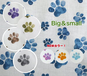 y50cmPʁzNEWJ[NEWTCYłIuWATER- COLOR NIKUKYU 5colorv V[`O Rbg100 n z   tbgvg fW^vg Jo[O Gv }XN  L 