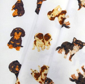 y50cmPʁzVol.2@߂ȂeV[[Yubaby dog -2-v/` LoA ~j`A_bNX Rbg100 n z  V[`O fW^vg }XN xr[