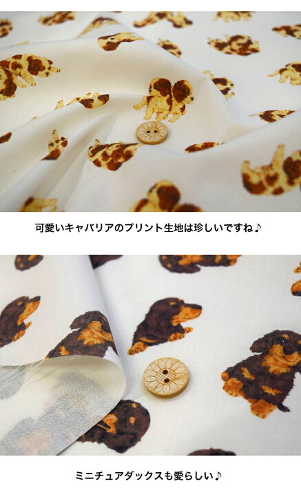 楽天市場】【50cm単位】Vol.2 抱きしめたくなる可愛い仔犬たち 