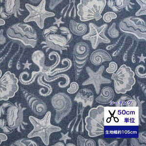 y50cmPʁzyV[`OzufjECv Rbg100  z w   Jo[O  C ^R qgf Jj