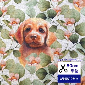 y50cmPʁzRbglLoX Gribaness@worlduǂȂcS[fgo[ƃ[J̗tv O[ Rbg100 n/ ///Jo[O/Gv f