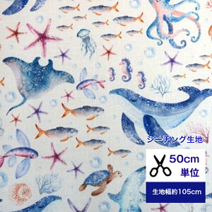 y50cmPʁzV[`OuC̒̊yv Rbg100  z w   NW NQ X ^R qgf Jo[O C  C̐ [C jq