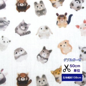 y50cmPʁzy_uK[[zuӂӂȃAj}Yv Rbg100 n z  fW^vg xr[ X^C nhCh K[[n u^ Lcl ʂ L 