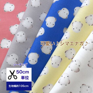 y50cmPʁzuV[`Ov`uӂV}GiKvRbg100 /n/ ///xr[/LbY w/fW^vg nhCh  V}GiK