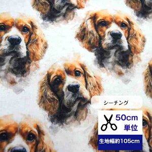 50cmP V[`O uzXAJRbJ\XpjGv Rbg100 n  AJRbJ\XpjG }XN  nhCh fW^vg 