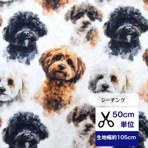 50cmP V[`O uface gCv[hv Rbg100 n  gCv[h }XN  nhCh fW^vg  }v[ V[v[